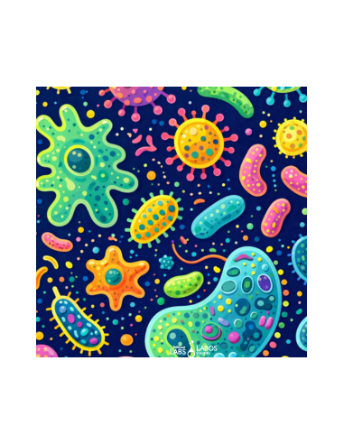 Bio/Steam - Microphotography Exploration Kit