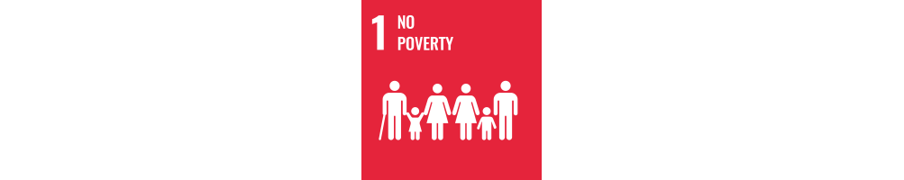 UN SDG 1 - No Poverty | Brilliant Labs