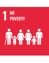 UN SDG 1: No Poverty