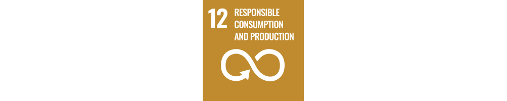 UN SDG 12 – Responsible Consumption and Production | Brilliant Labs