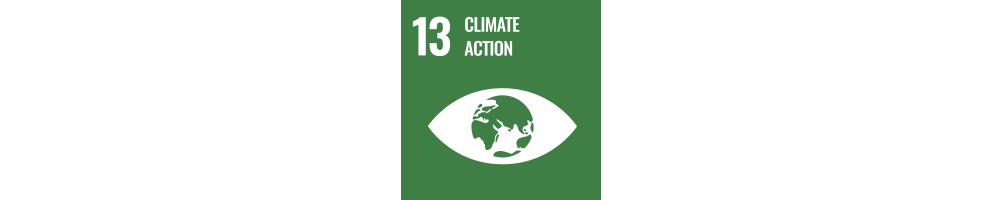 UN SDG 13 – Climate Action | Brilliant Labs