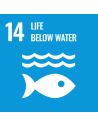 UN SDG 14: Life Below Water