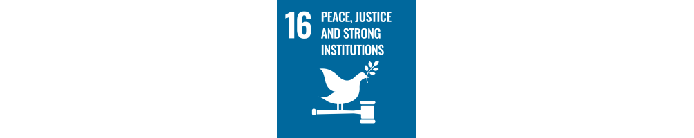 UN SDG 16 – Peace, Justice and Strong Institutions | Brilliant Labs
