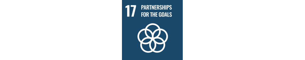 UN SDG 17 – Partnerships for the Goals | Brilliant Labs